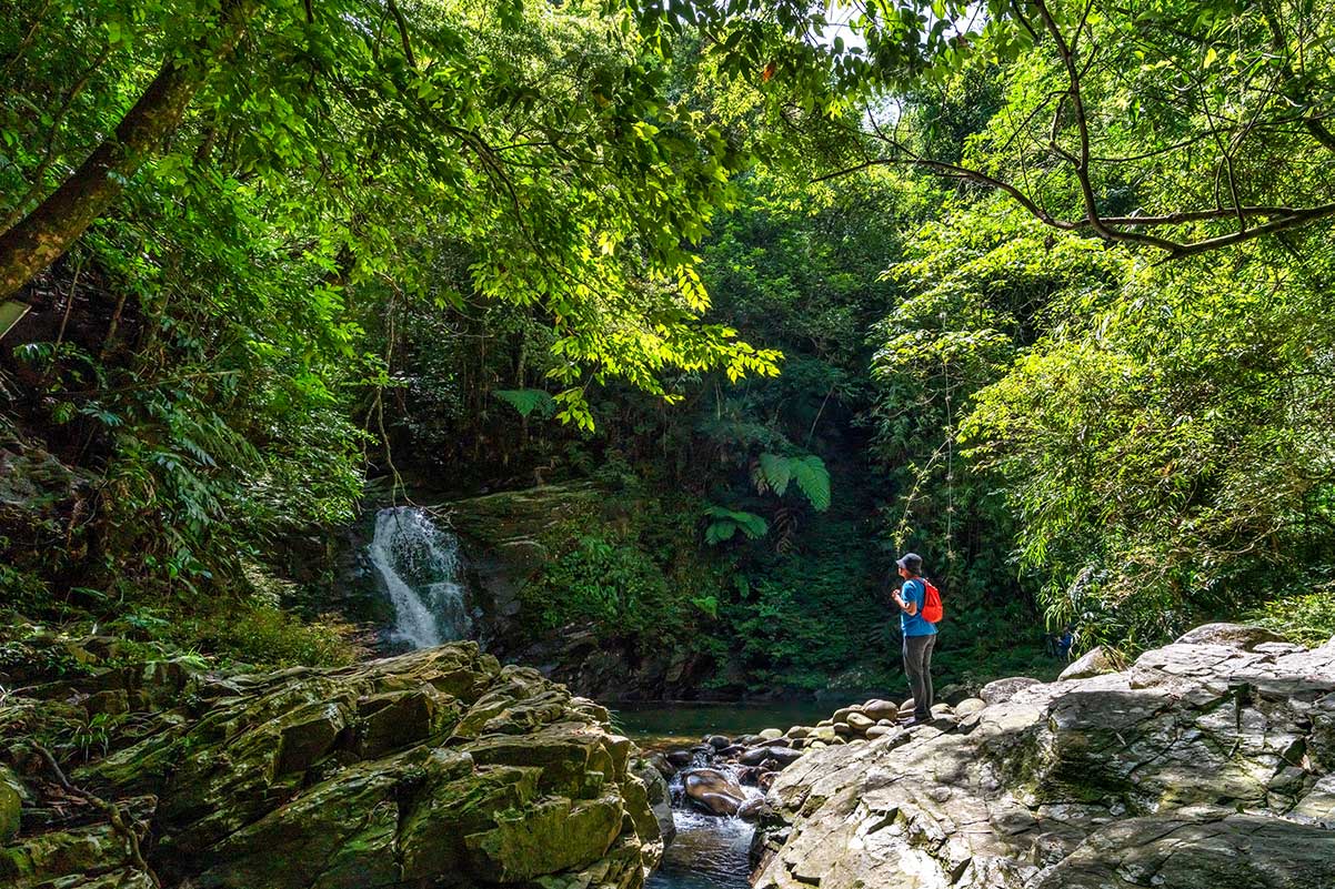 trekking in Bach Ma Nationalpark