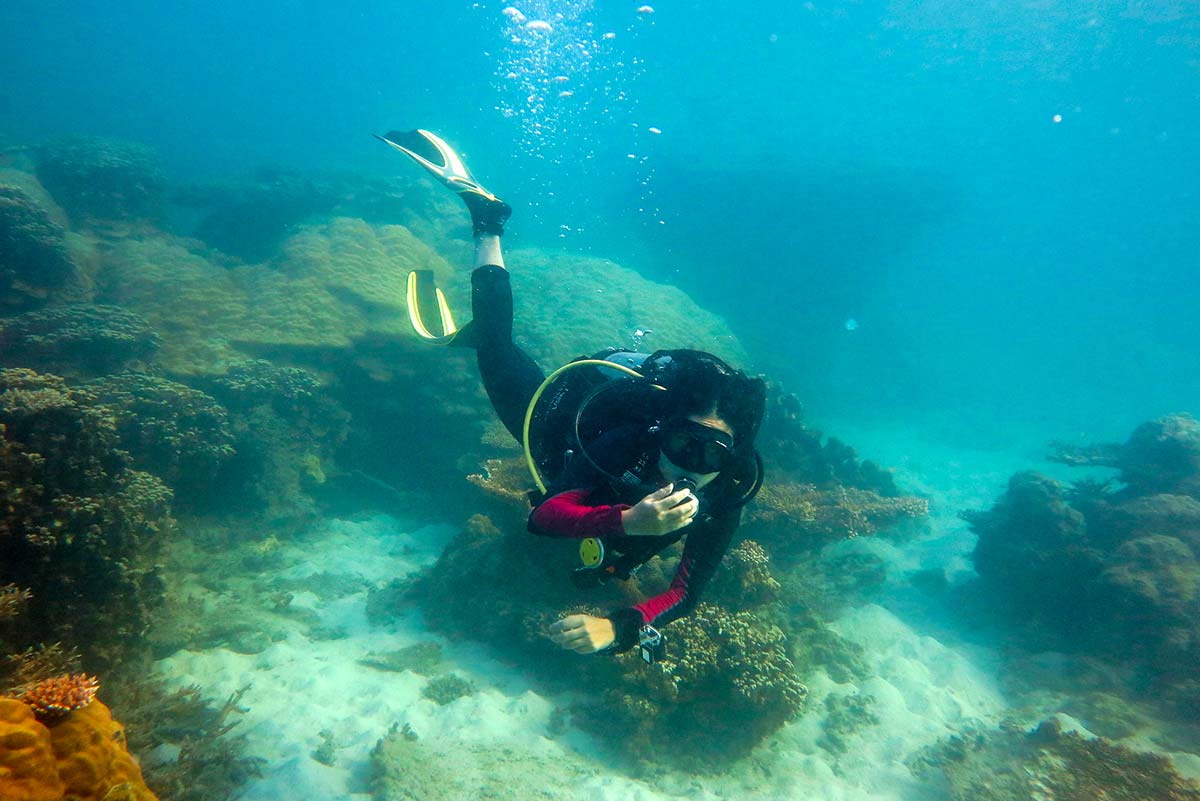 Tauchen auf den Con Dao-Inseln in Vietnam