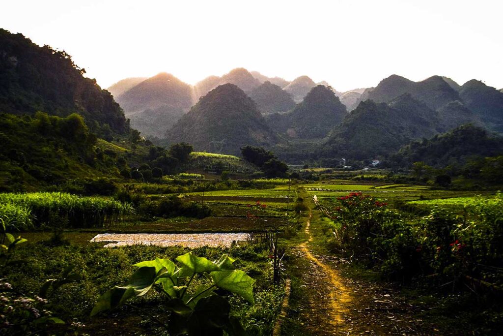 Berge, Dschungel und Landschaft im Nationalpark Cuc Phuong in der Provinz Ninh Binh in Vietnam