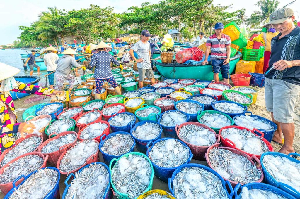 Der örtliche Fischmarkt von Mui Ne