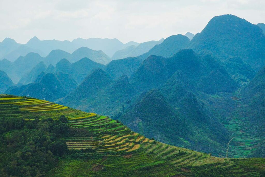 Blick auf die Berge und Reisfelder von Ha Giang, Teil der atemberaubendsten Natur Vietnams