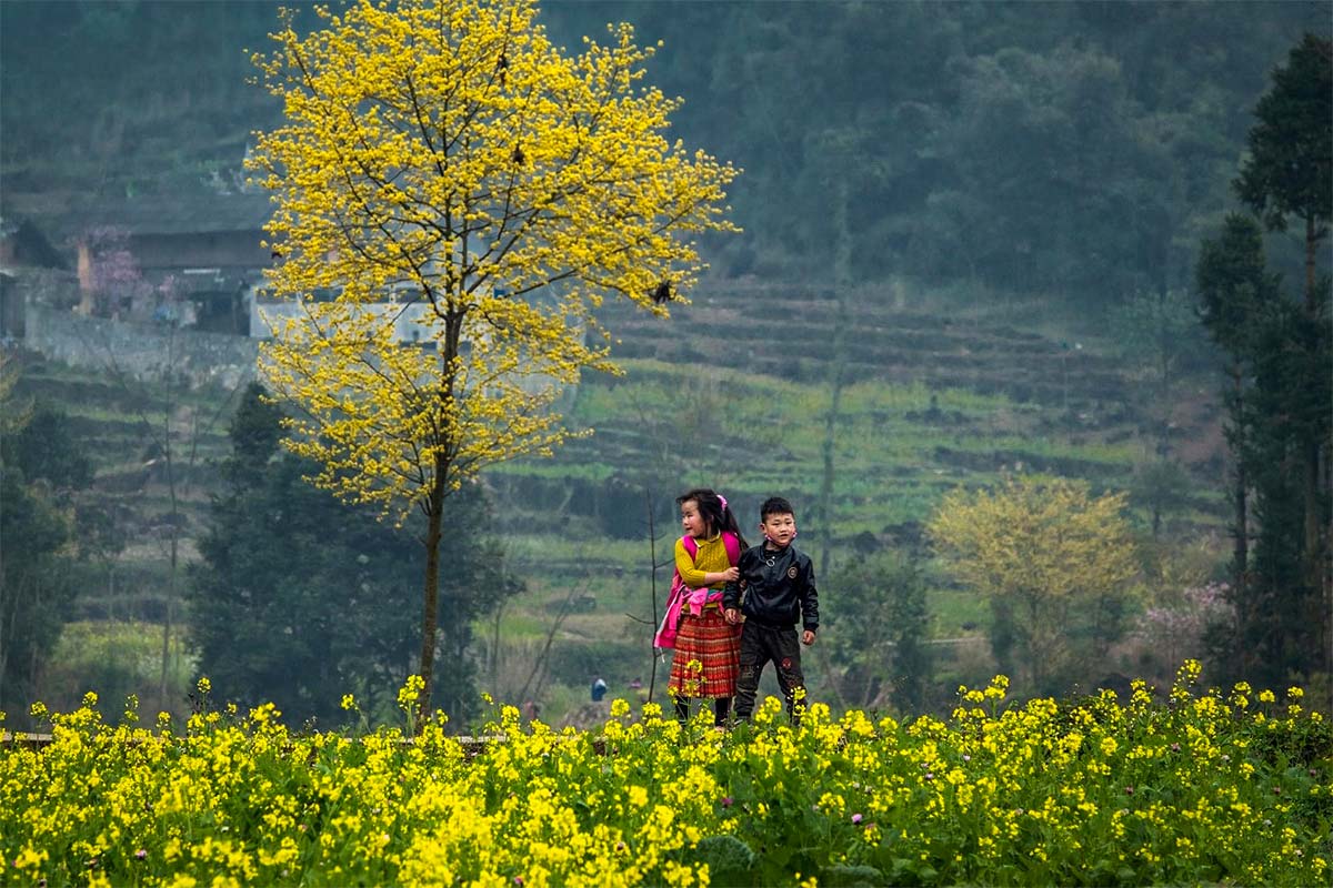 Ha Giang in Nordvietnam blüht im Februar
