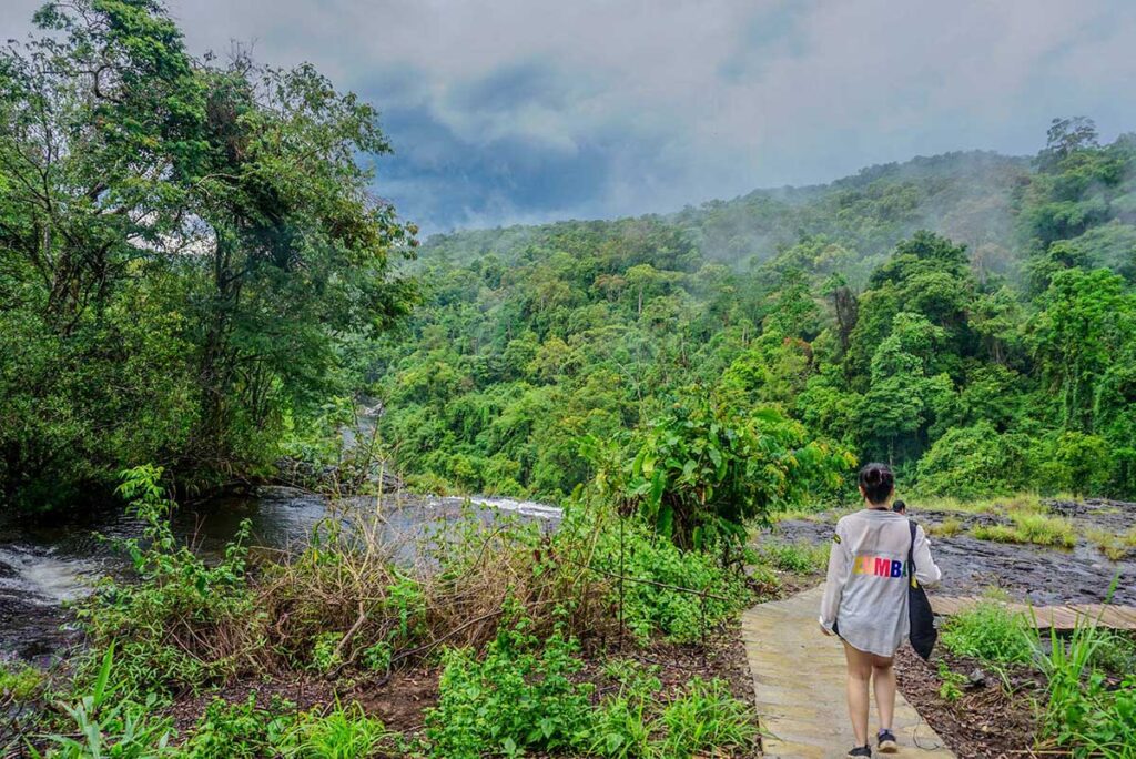 Dschungeltrekking im Naturschutzgebiet Kon Chu Rang