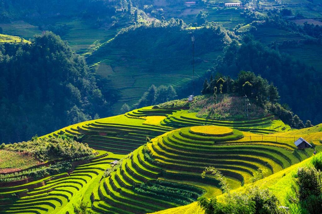 Mu Cang Chai hat die schönsten Reisfelder Vietnams