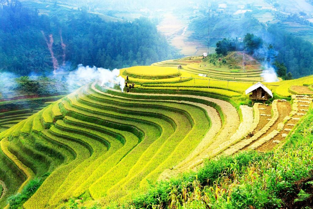 Mu Cang Chai terrassierte Reisfelder