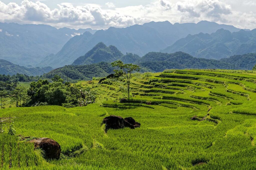 Pu Luong Naturreservat in Vietnam