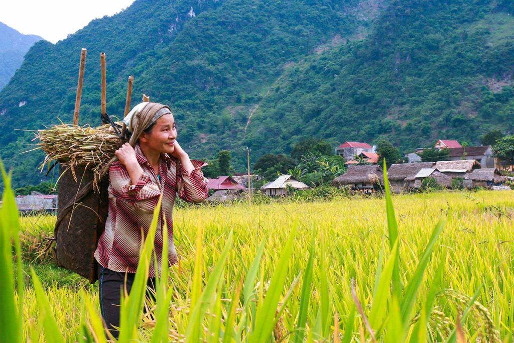 Pu Luong ethnische Person