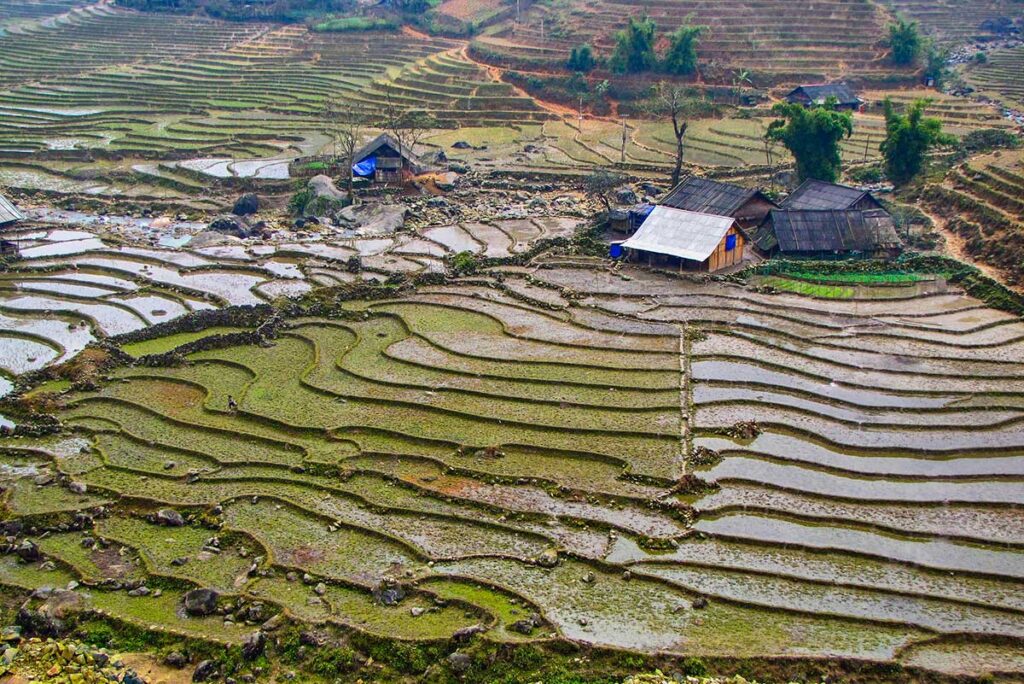 Reisfelder von Sapa im Norden Vietnams im Winter im Januar