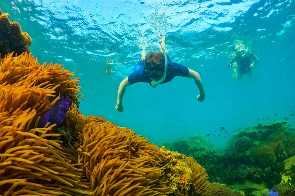 Schnorcheln mit Korallen auf der Insel Phu Quoc in Vietnam