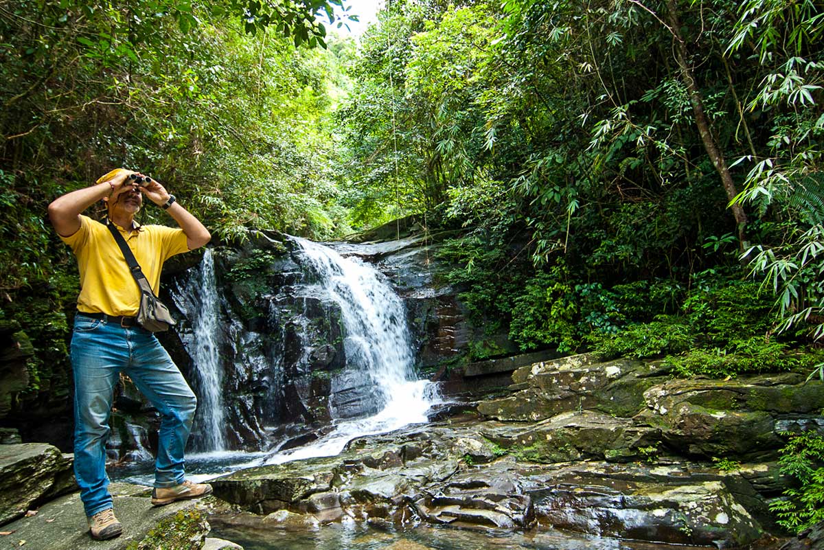 Trekking durch die Wälder des Bach-Ma-Nationalparks in Zentralvietnam