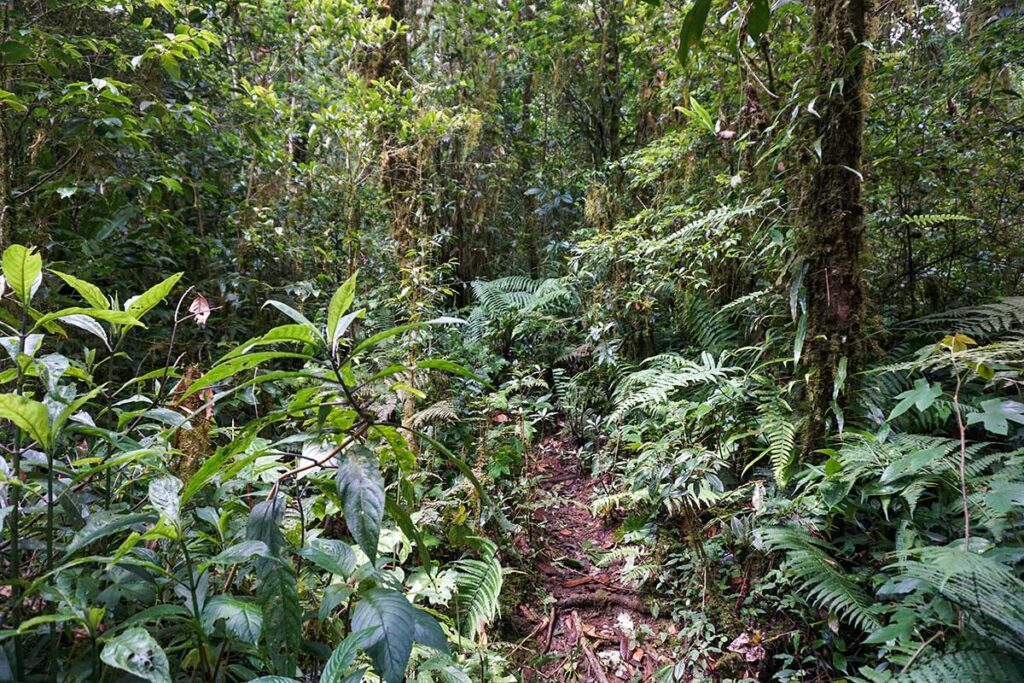 Bidoup Nui Ba Nationalpark