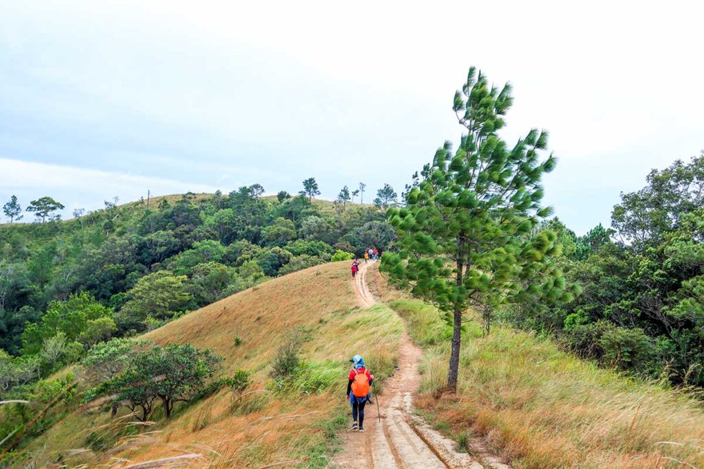 Trekking in Dalat