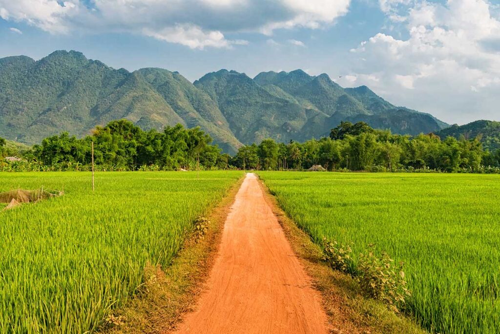 Straße durch die Reisfelder im Tal von Mai Chau, ideal für einen Urlaub.
