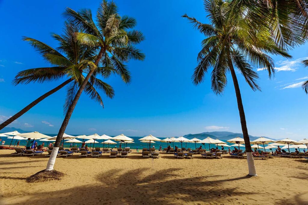 Strand mit Palmen und Strandliegen in Nha Trang, perfekt für einen Urlaub.