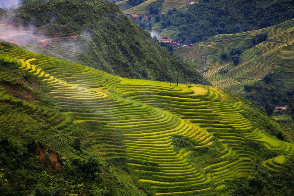 Terrassenförmige Reisfelder in Sapa, Vietnam.