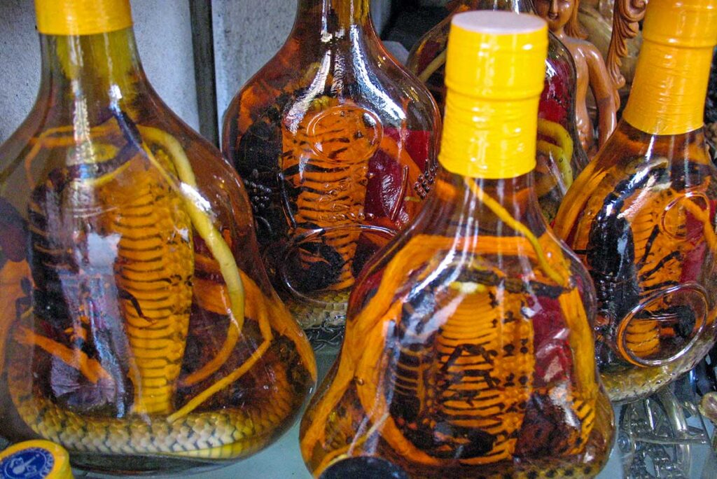 schlangenwein Vietnam