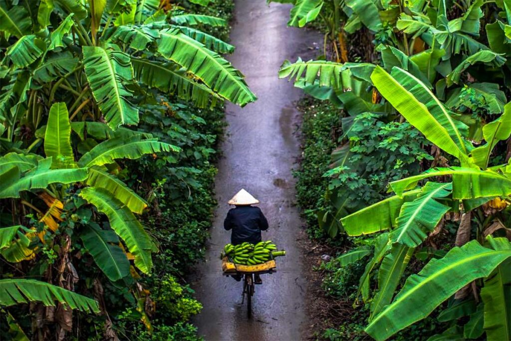Radfahren auf der Bananeninsel in Hanoi