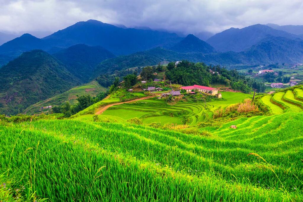 der Spaziergang von Sapa zum Cat Cat Village durch Reisfelder