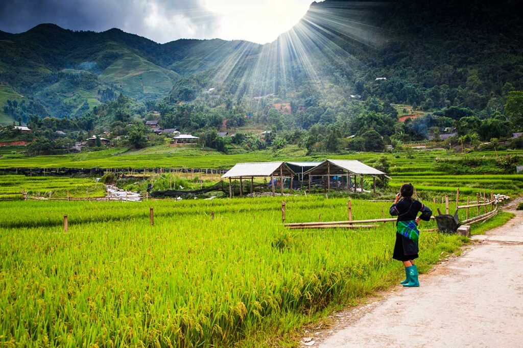 Reisfelder von Ta Phin in der Nähe von Sapa