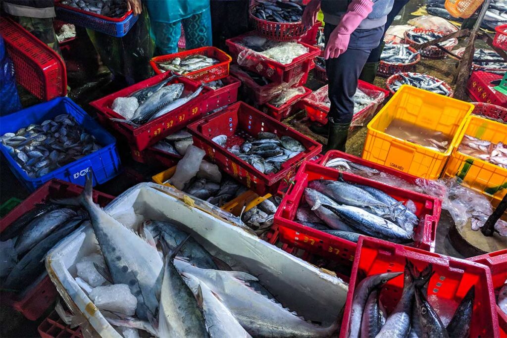 Fisch wird auf dem Thanh Ha-Fischmarkt in Hoi An verkauft