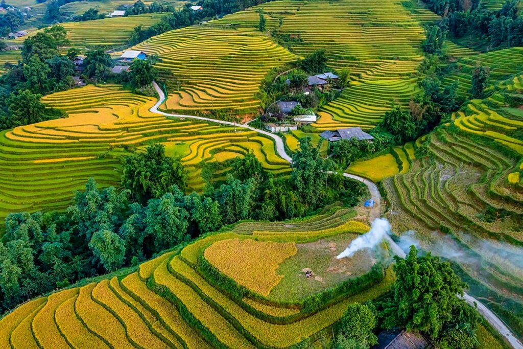 Reisfelder rund um das Dorf Y Linh Ho in der Nähe von Sapa