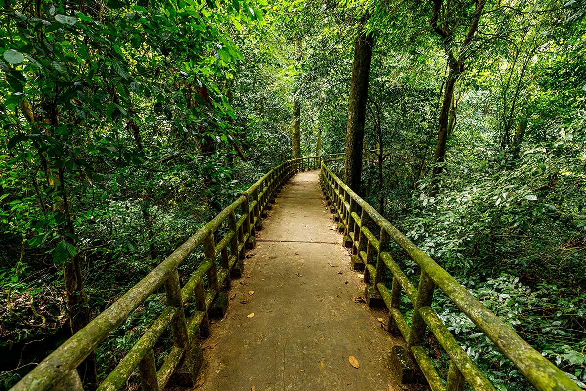 Cuc Phuong Nationalpark