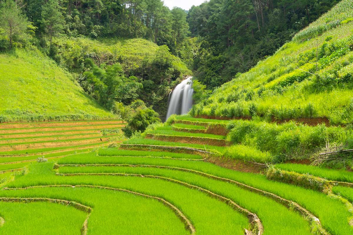 Wasserfälle in Mu Cang Chai