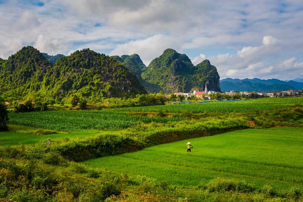Landschaft von Phong Nha