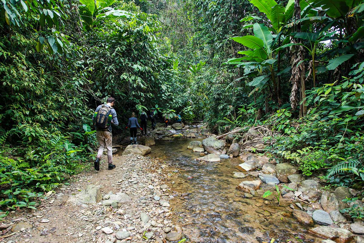 trekking in Phong Nha