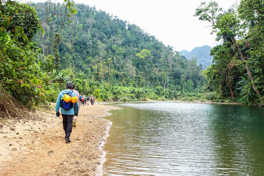 Trekking durch den vietnamesischen Dschungel im Phong Nha Nationalpark