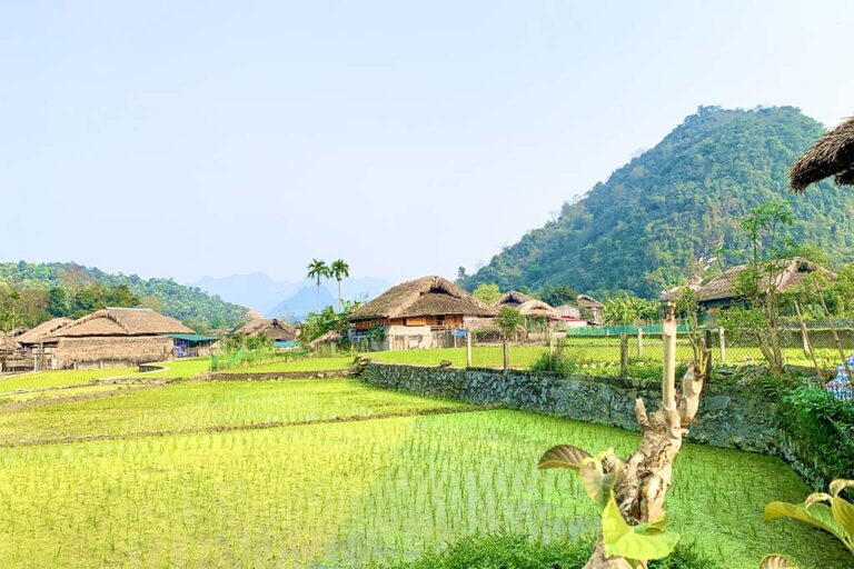 Cay's Homestay in Thon Tha Village - Ha Giang