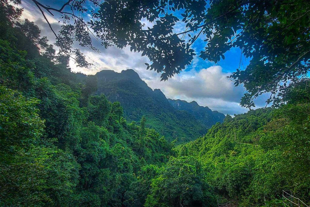 Der Blick über den Dschungel von einem Aussichtspunkt im Botanischen Garten in Phong Nha