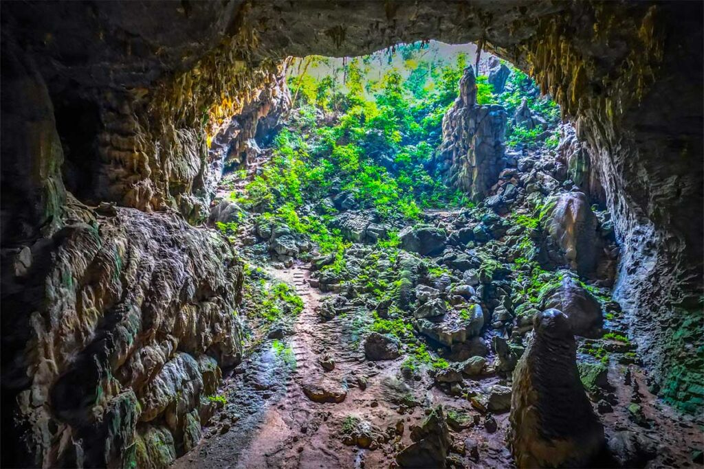 Die riesige Höhlenöffnung der Elefantenhöhle in Phong Nha