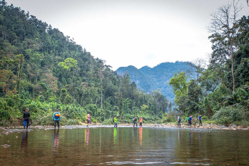 Eine Gruppe von Menschen macht eine Dschungelwanderung und überquert einen kleinen Bach im Phong Nha Nationalpark auf dem Weg zur Hang En-Höhle