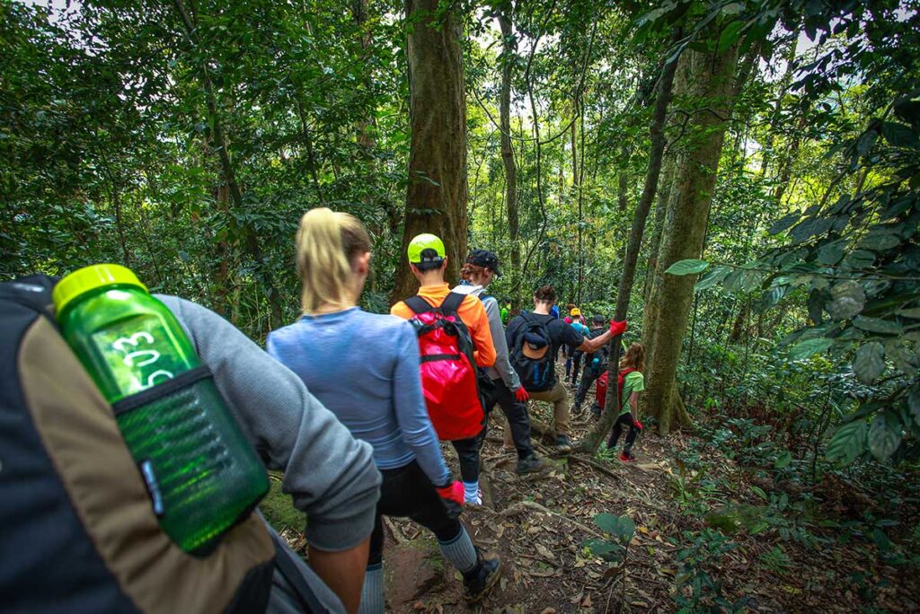 Eine Gruppe von Menschen, die an einer Höhlenexpedition teilnehmen, wandern zum Eingang der Hang En-Höhle und durchqueren den tiefen Dschungel von Phong Nha.