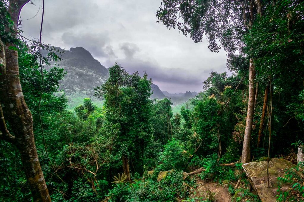 Botanischen Garten von Phong Nha