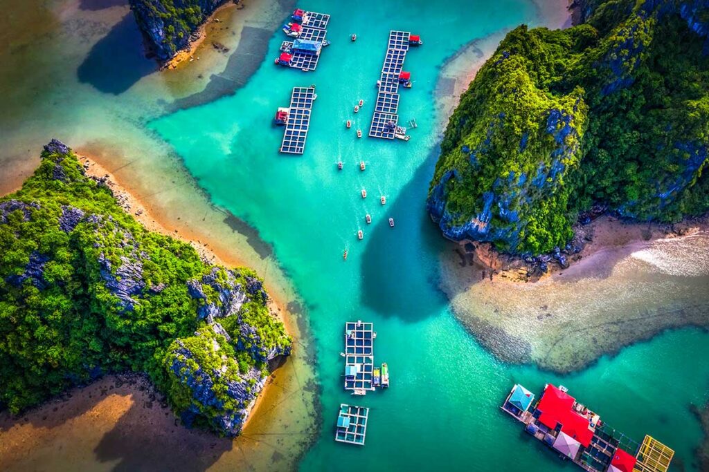 Schwimmendes Dorf in der Halong-Bucht