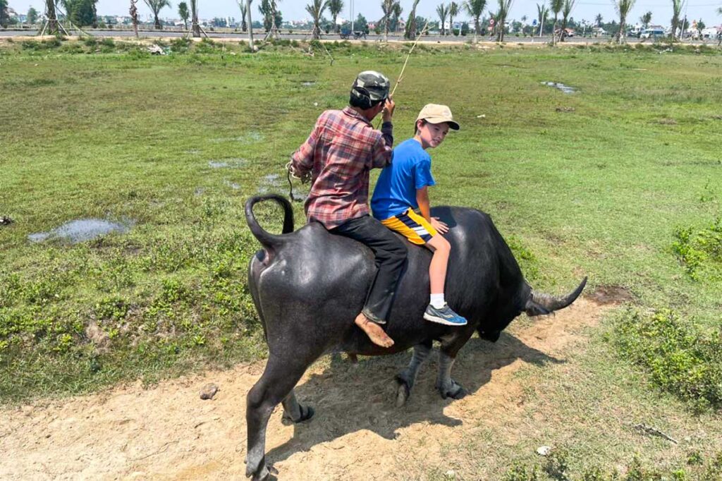 Ein Kind reitet auf einem Büffel in der Landschaft von Hoi An