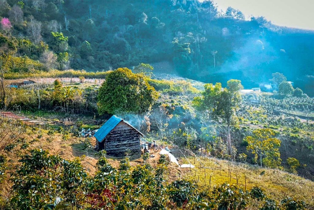 K’Ho Coffee Farm in Dalat