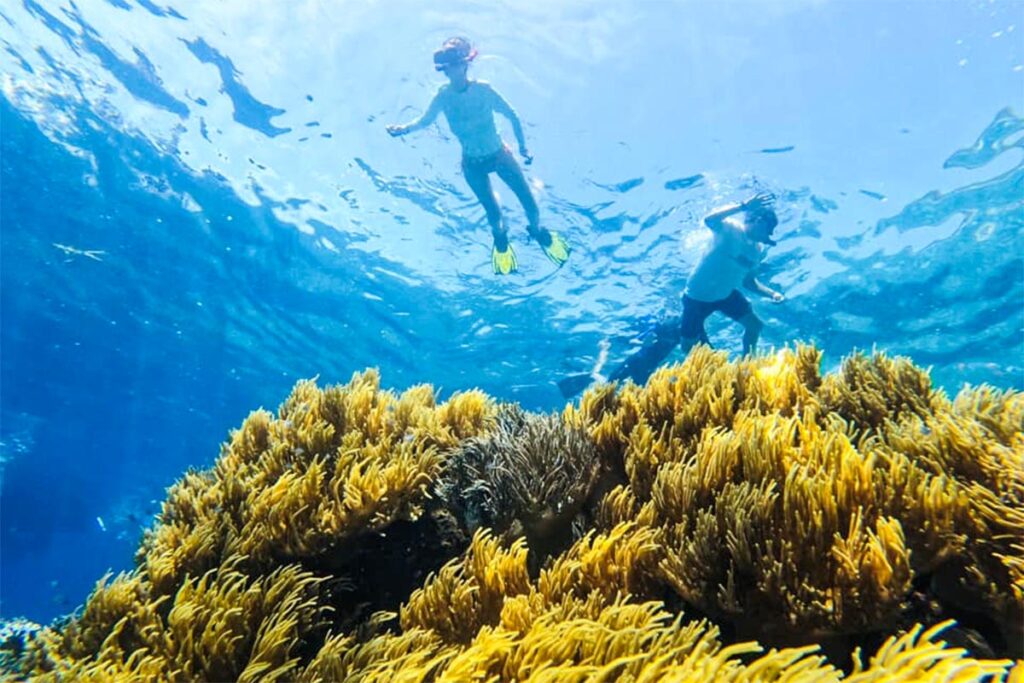 2 Personen beim Schnorcheln auf der Insel Cham vor der Küste von Hoi An