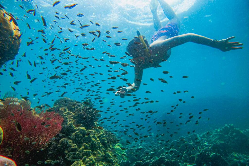 Ein Schnorchler erkundet die Unterwasserwelt rund um die Insel Phu Quoc in Vietnam