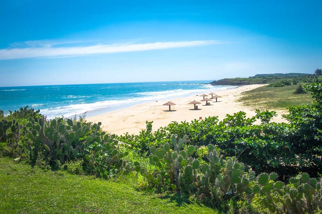 Ruhiger Strand von Bai Xep in Phu Yen von einem Hügel aus gesehen, mit Kakteenpflanzen im Vordergrund, türkisfarbenem Meer und einigen Reetschirmen auf dem weißen Sand — ein kleiner und kaum touristischer Strand