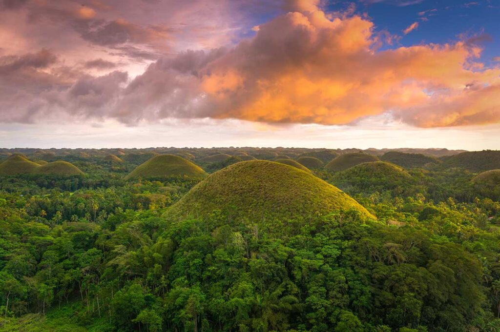 Hunderte gleichmäßig geformte grüne Hügel der Chocolate Hills auf Bohol auf den Philippinen, fotografiert bei Sonnenuntergang mit orangefarbenen Wolken über der Landschaft