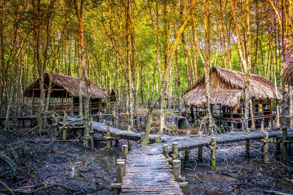 Rekonstruktion eines Guerillalagers im Sac-Wald des Can Gio Reservats, mit Holzstegen, Reethütten auf Pfählen über dem schlammigen Mangrovenwald und einem goldenen Schimmer über den Baumkronen — das Lager zeigt, wie Vietcong-Kämpfer sich im undurchdringlichen Mangrovenwald versteckten