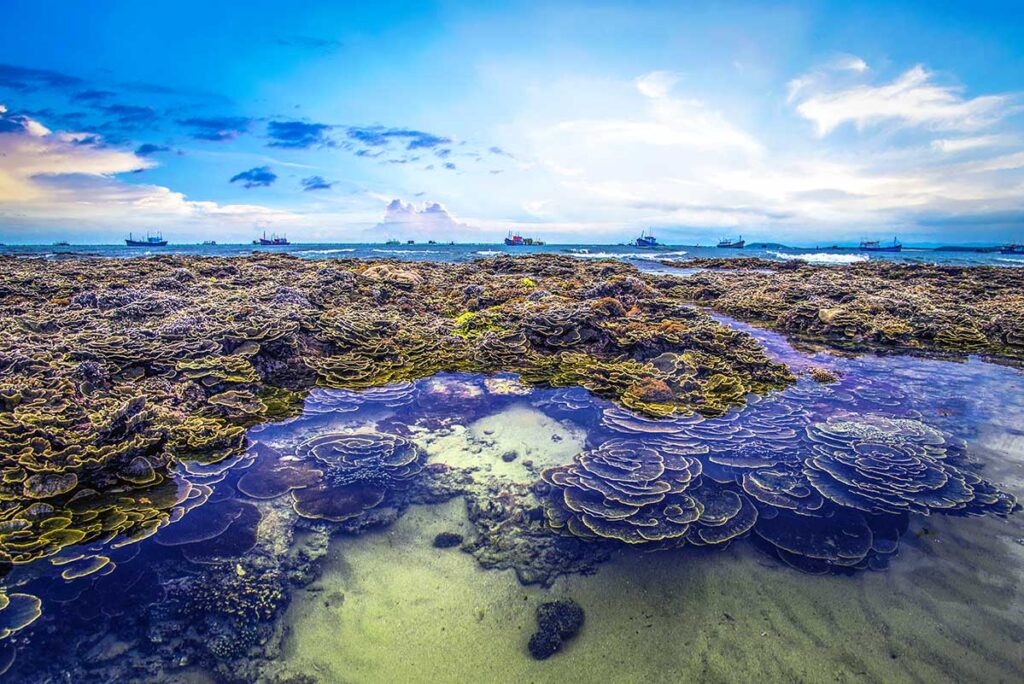 Korallenplatten sichtbar bei Niedrigwasser auf der Insel Hon Yen in Phu Yen, mit Fischerschiffen im Hintergrund und farbenfrohem Himmel — das Korallenriff ist nur während der Niedrigwasserperiode zu sehen