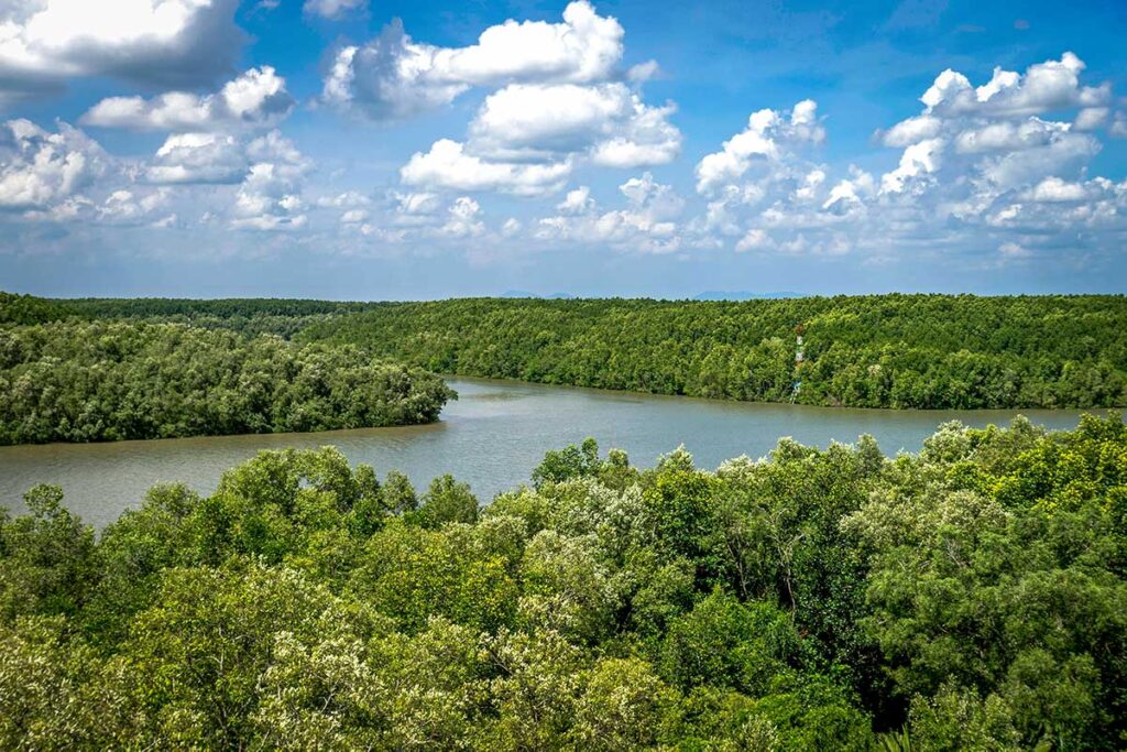 Panoramablick über das Can Gio Reservat aus der Höhe, mit einem breiten Fluss, der sich durch einen zusammenhängenden grünen Mangrovenwald unter bewölktem Himmel schlängelt — das Reservat umfasst mehr als 75.000 Hektar und ist das größte Mangrovengebiet in der Umgebung von Ho Chi Minh City