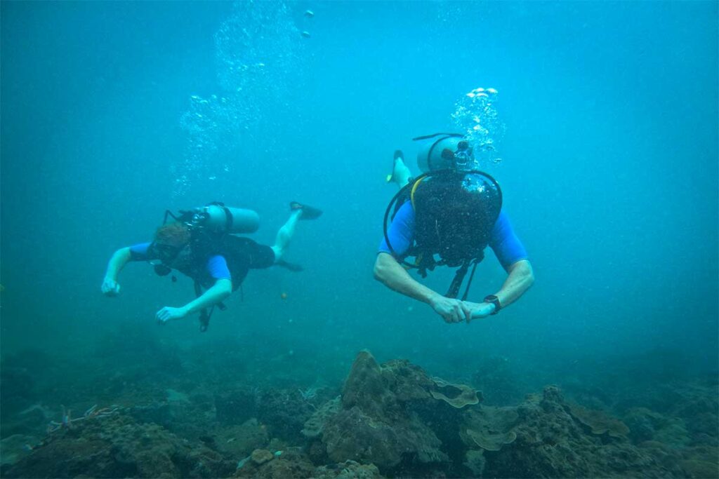 Zwei Scubataucher schwimmen über ein Korallenriff bei Phu Quoc — die Sicht ist hier im Vergleich zu Nha Trang oft begrenzt, aber die Riffe bieten abwechslungsreiches Unterwasserleben