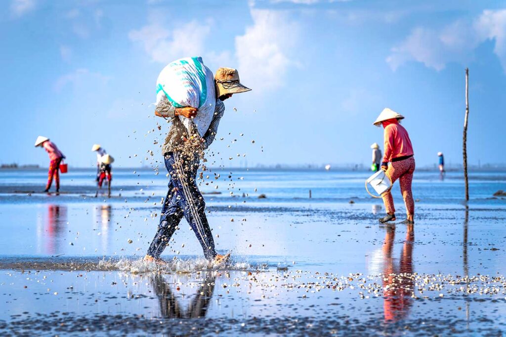 Einheimische sammeln Muscheln und Schalentiere im Watt bei Ebbe am Strand von Can Gio, mit vietnamesischen Kegelhutten und bunten Eimern — der Strand von Can Gio ist eher ein Arbeitsstrand für Fischer als eine Touristenattraktion