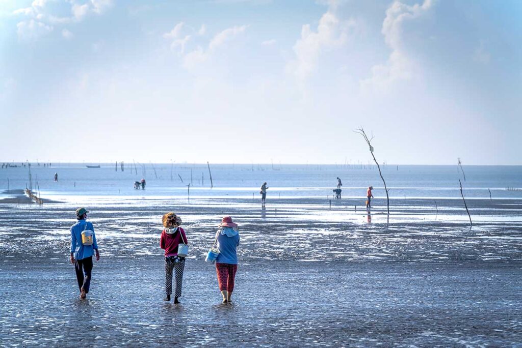 Drei einheimische Frauen gehen bei Ebbe auf das Watt am Strand von Can Gio zu, mit Eimern und kleinen Rucksäcken für die tägliche Ernte von Meeresfrüchten — das breite Watt bei Niedrigwasser ist ein charakteristisches Bild der Can Gio Küste