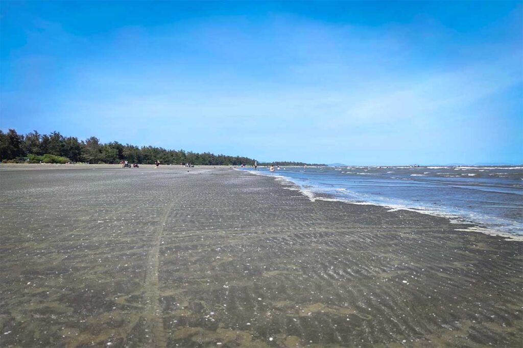 Breiter und flacher Strand von Can Gio bei Niedrigwasser mit einer langen Flutlinie, einigen Badegästen in der Ferne und einem dichten grünen Wald entlang der Küstenlinie — der Strand ist kein weißer Sandstrand, sondern hat einen dunkleren, mineralreichen Untergrund